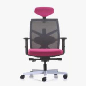 Chair: Tune for Lowback